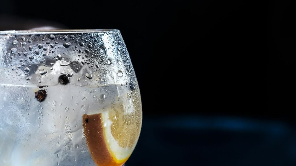 Gin tonic glacé avec une rondelle de citron