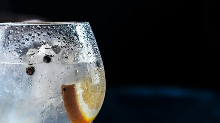 Gin tonic glacé avec une rondelle de citron