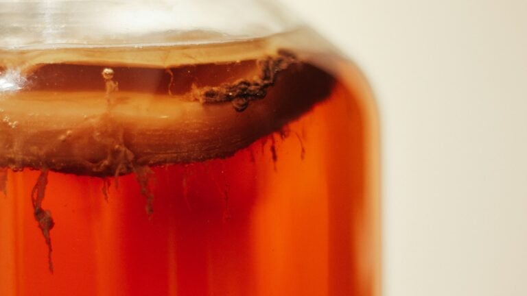 Bocal de kombucha en fermentation