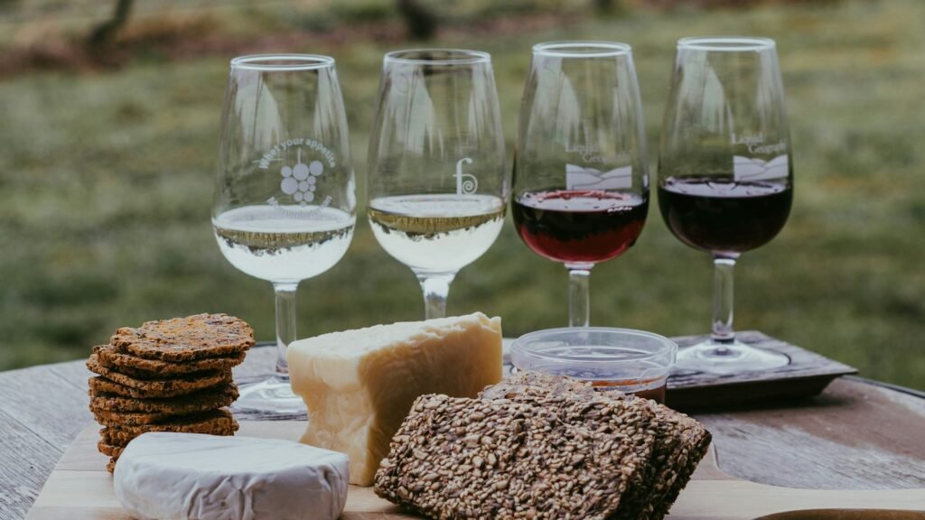 Verres de vin et plateau de fromages dans les vignes